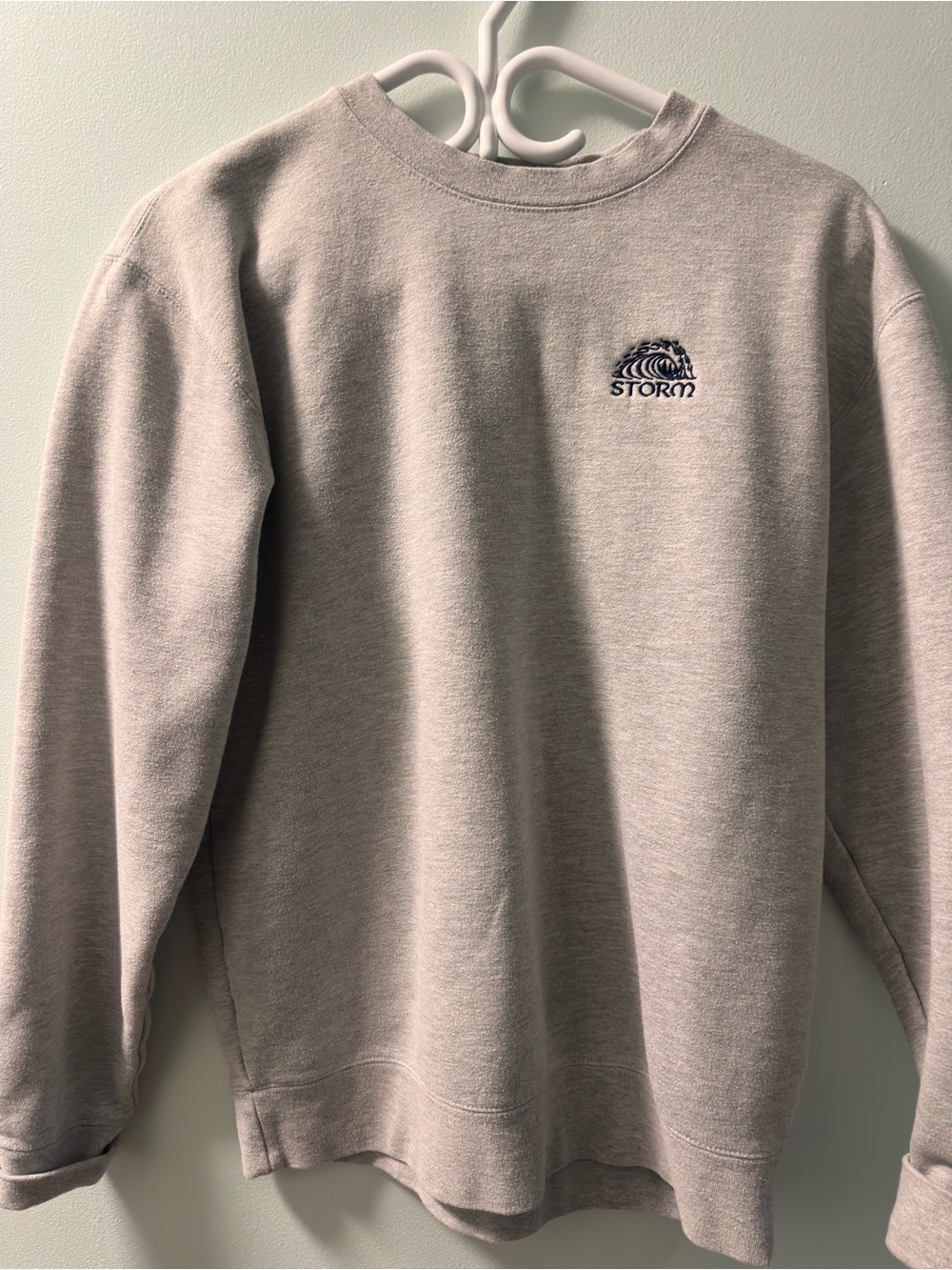 Storm Embroidered Crewneck Sweatshirt - Light Gray